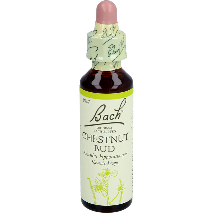 Bach-Blüte Chestnut Bud, 20 ml Lösung