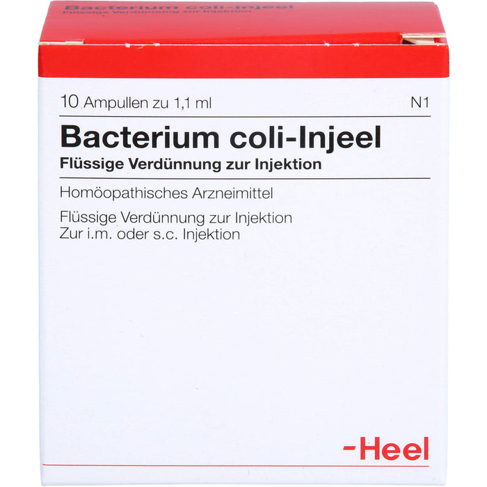 Bacterium coli-Injeel Inj.-Lsg., 10 St. Ampullen
