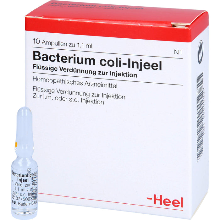 Bacterium coli-Injeel Inj.-Lsg., 10 St. Ampullen