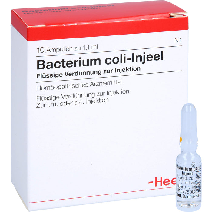 Bacterium coli-Injeel Inj.-Lsg., 10 St. Ampullen