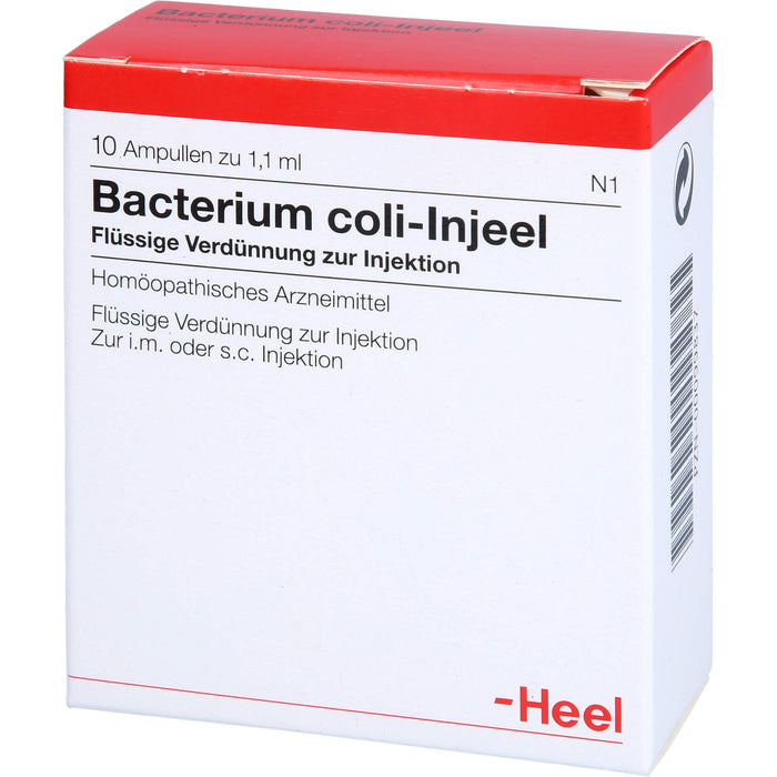 Bacterium coli-Injeel Inj.-Lsg., 10 St. Ampullen