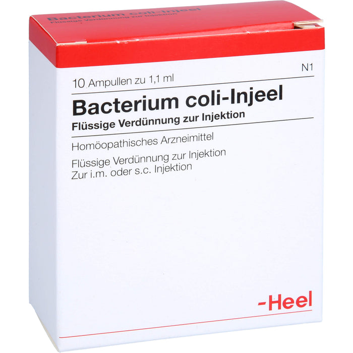 Bacterium coli-Injeel Inj.-Lsg., 10 St. Ampullen