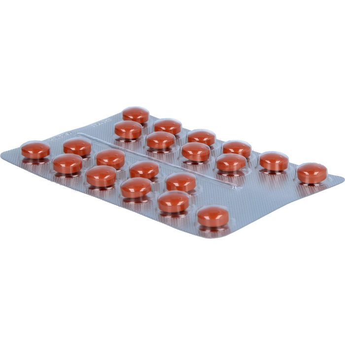 Umckaloabo 20 mg Filmtabletten, 60 St. Tabletten