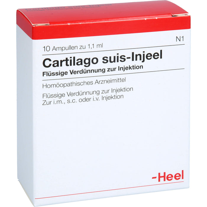 Cartilago suis-Injeel Ampullen, 10 St. Ampullen