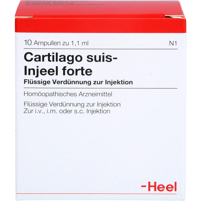Cartilago suis-Injeel forte Inj.-Lsg., 10 St. Ampullen