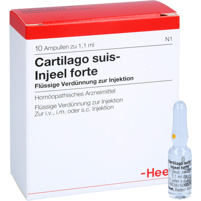Cartilago suis-Injeel forte Inj.-Lsg., 10 St. Ampullen