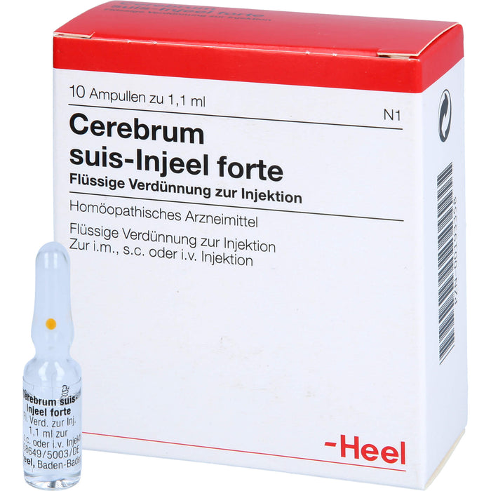 Cerebrum suis-Injeel forte flüssige Verdünnung, 10 St. Ampullen