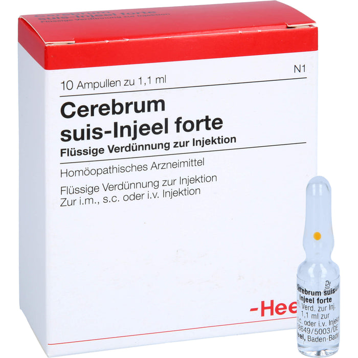 Cerebrum suis-Injeel forte flüssige Verdünnung, 10 St. Ampullen