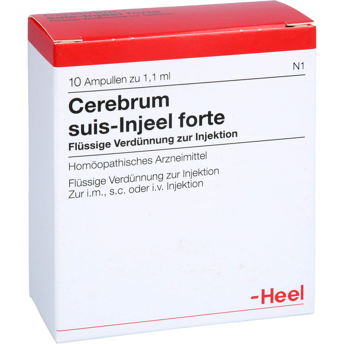 Cerebrum suis-Injeel forte flüssige Verdünnung, 10 St. Ampullen