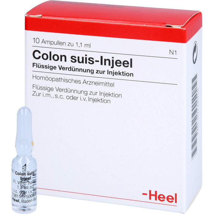 Colon suis-Injeel Inj.-Lsg., 10 St. Ampullen