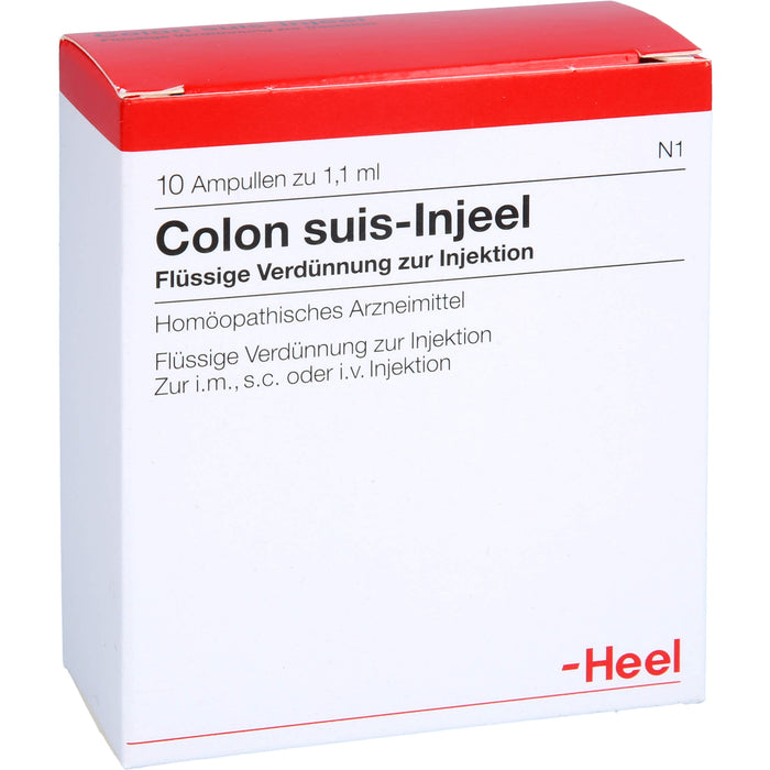 Colon suis-Injeel Inj.-Lsg., 10 St. Ampullen