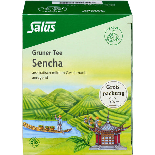 Grüner Tee Grosspackung bio Salus, 40 St FBE