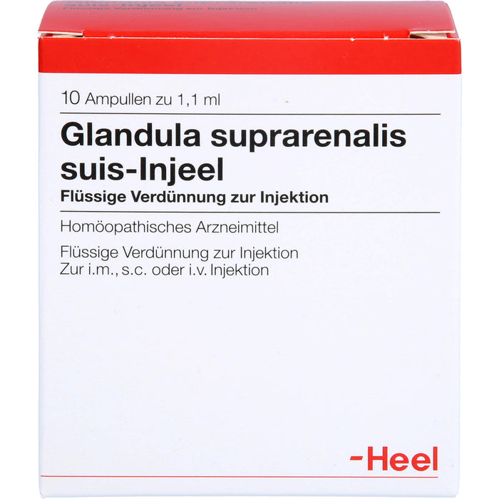 Glandula suprarenalis suis-Injeel Ampullen, 10 St. Ampullen