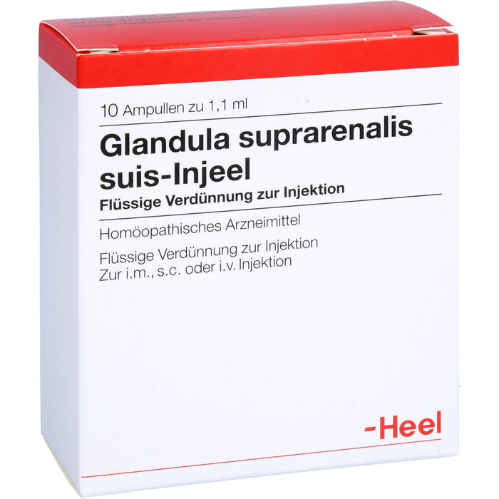 Glandula suprarenalis suis-Injeel Ampullen, 10 St. Ampullen