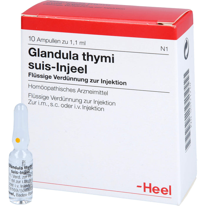 Glandula thymi suis-Injeel Inj.-Lsg., 10 St AMP