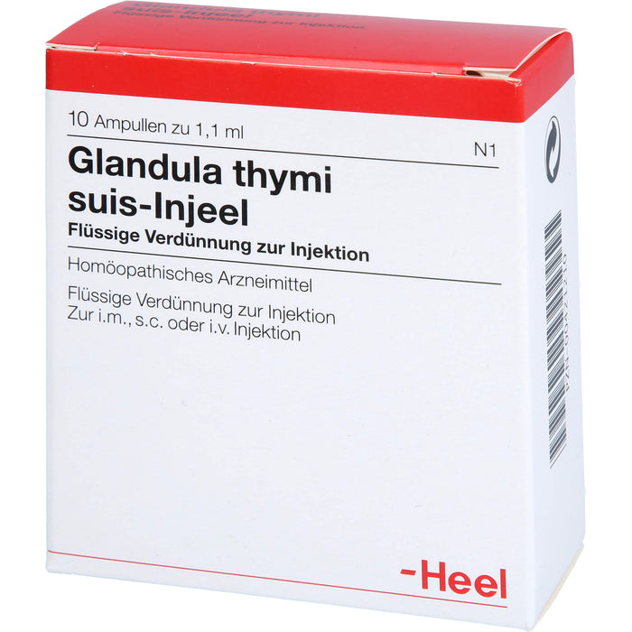 Glandula thymi suis-Injeel Inj.-Lsg., 10 St AMP
