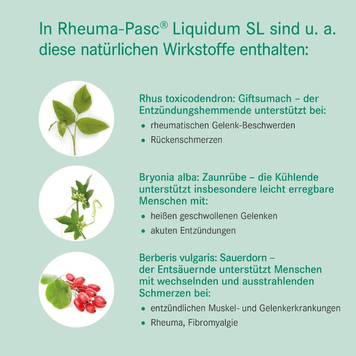Rheuma-Pasc® Liquidum SL, 100 ml TRO