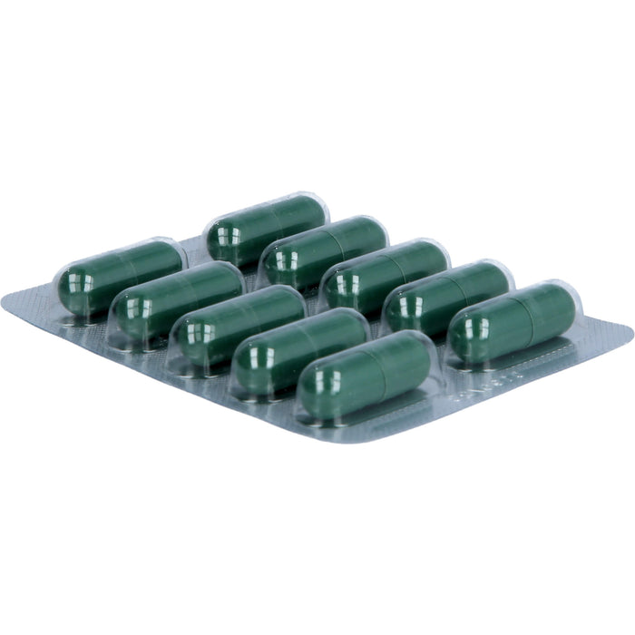 Heparstad  400 mg Hartkapseln, 100 St. Kapseln