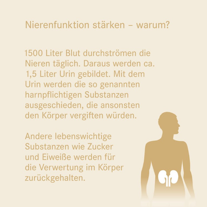 Pascorenal N Mischung bei Nierenfunktionsstörungen, 100 ml Lösung