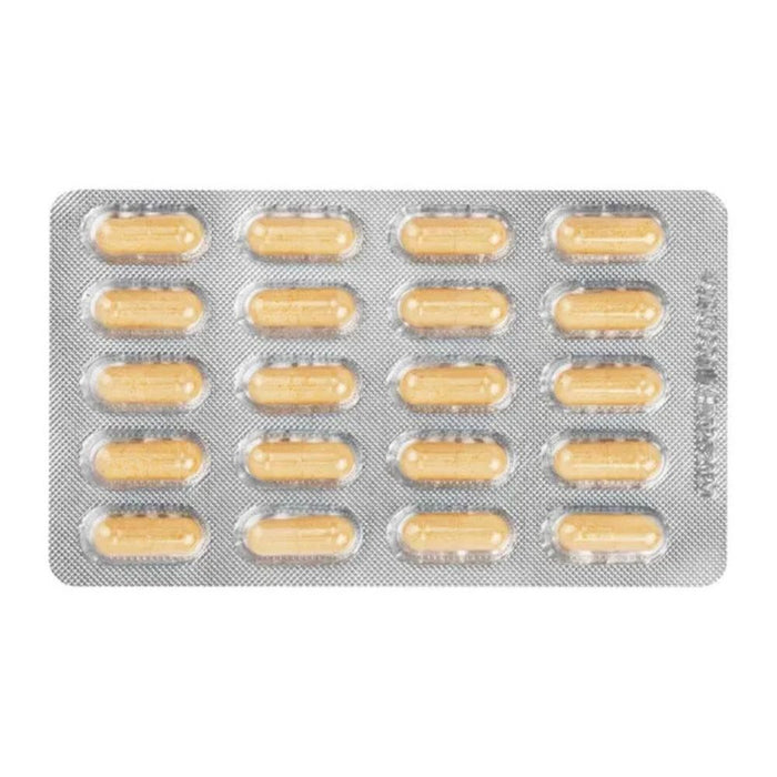 Redcare Probio 8 Plus Kapseln für Darmschleimhaut und Immunsystem, 80 St. Kapseln