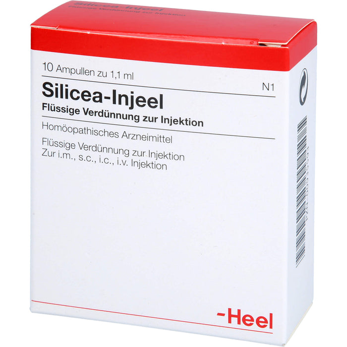 Heel Silicea-Injeel flüssige Verdünnung zur Injektion, 10 St. Ampullen