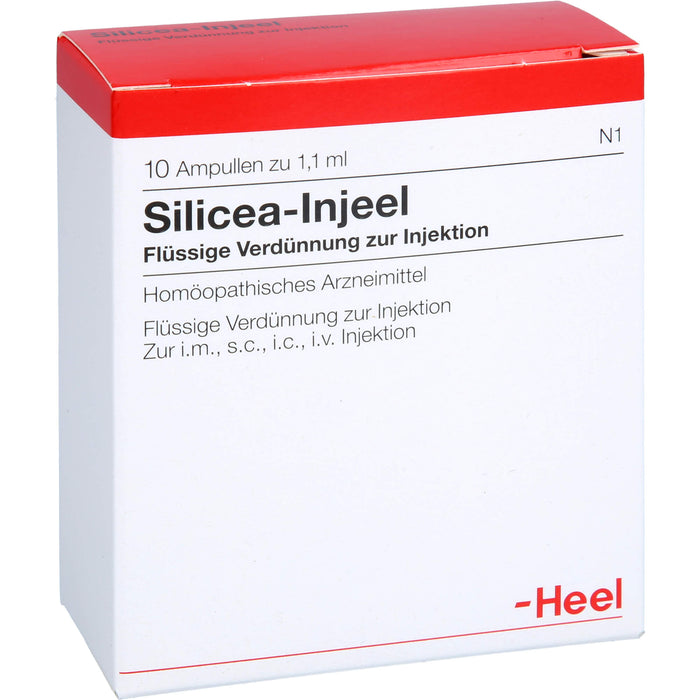 Heel Silicea-Injeel flüssige Verdünnung zur Injektion, 10 St. Ampullen