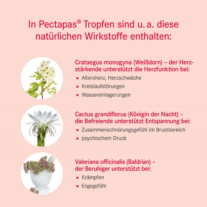 Pectapas  Tropfen, 50 ml Lösung