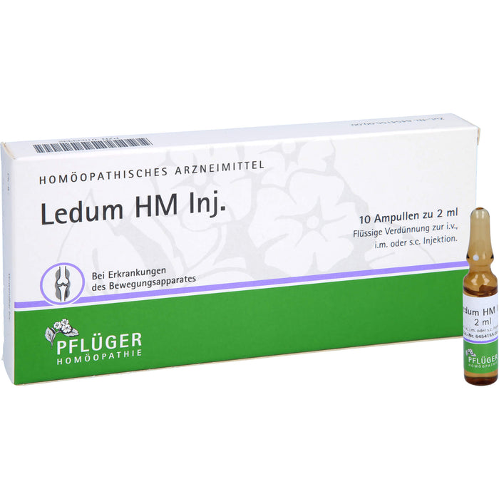 Ledum HM Injekt Amp., 10 St AMP
