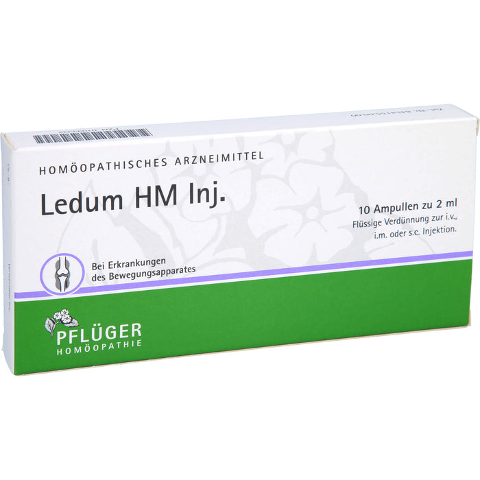 Ledum HM Injekt Amp., 10 St AMP