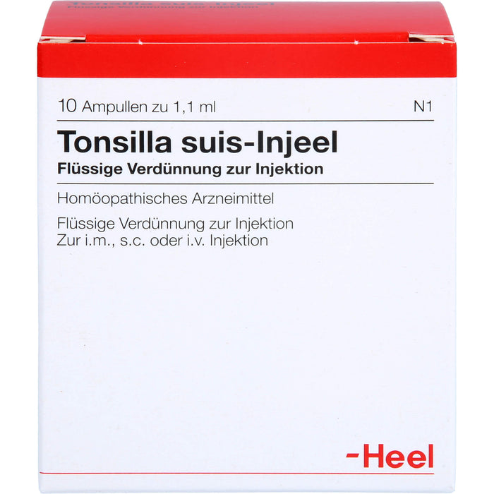 Tonsilla suis Injeel Amp., 10 St AMP