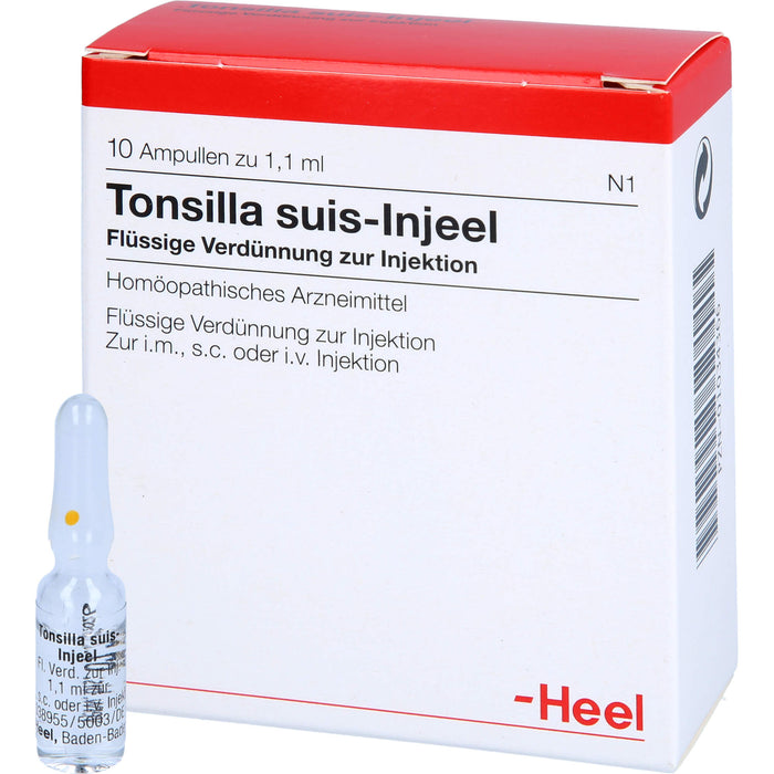 Tonsilla Suis-Injeel flüssige Verdünnung, 10 St. Ampullen