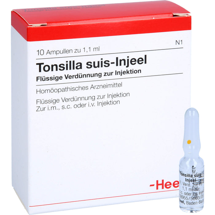 Tonsilla Suis-Injeel flüssige Verdünnung, 10 St. Ampullen