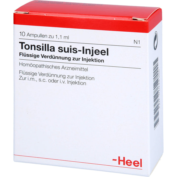Tonsilla Suis-Injeel flüssige Verdünnung, 10 St. Ampullen