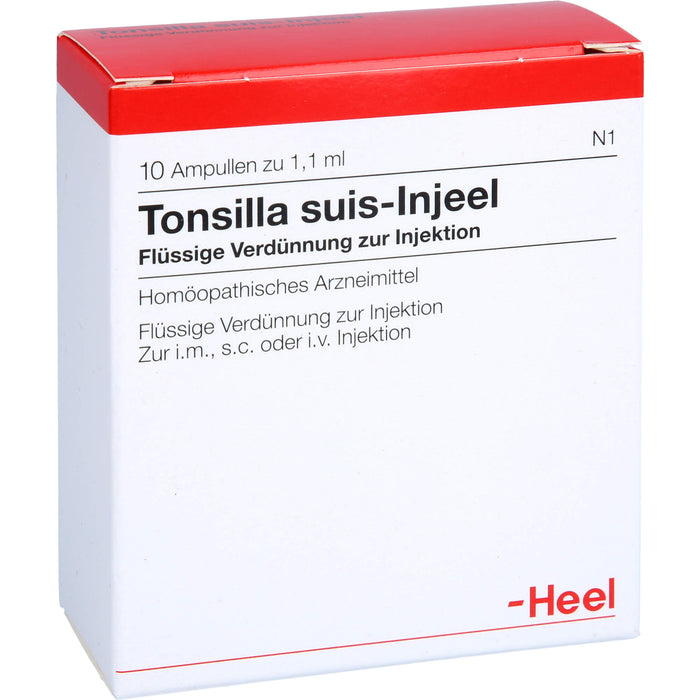 Tonsilla Suis-Injeel flüssige Verdünnung, 10 St. Ampullen