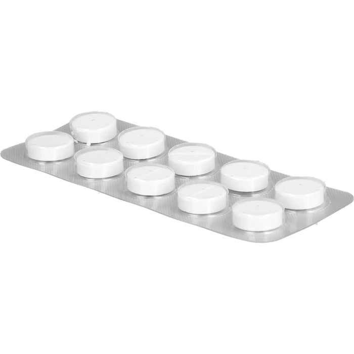 NESTMANN Nr.160 Echinest Tabletten, 100 St. Tabletten