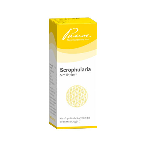 Pascoe Scrophularia Similiaplex Mischung, 50 ml Lösung
