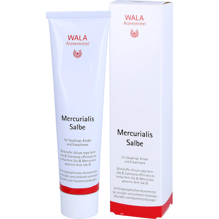 WALA Mercurialis Salbe bei eitrigen und schlecht heilenden Wunden und Hautentzündungen, 100 g Salbe