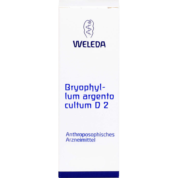Bryophyllum Argento cultum D2 WELEDA Dil., 50  