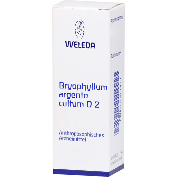 Bryophyllum Argento cultum D2 WELEDA Dil., 50