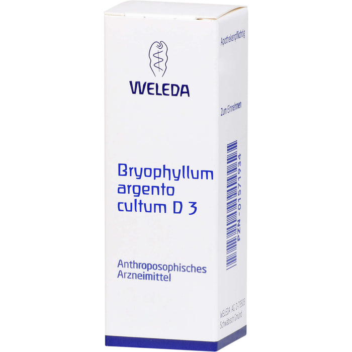 Bryophyllum Argento cultum D3 Weleda Dil., 50 ml Lösung