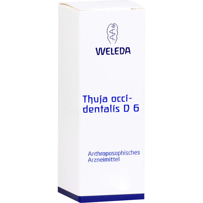 Thuja occidentalis D6 Weleda Dil., 20 ml DIL