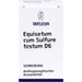 WELEDA Equisetum cum Sulfure tostum D6 Verreibung, 20 g Pulver