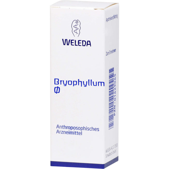 WELEDA Bryophyllum Urtinktur, 50 ml Lösung