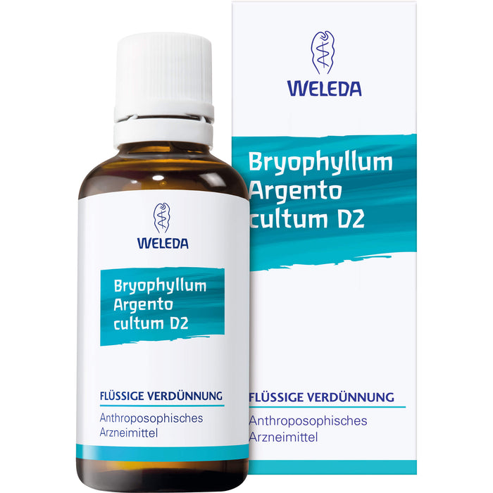 WELEDA Bryophyllum Argento cultum Rh D3 flüssige Verdünnung, 20 ml Lösung