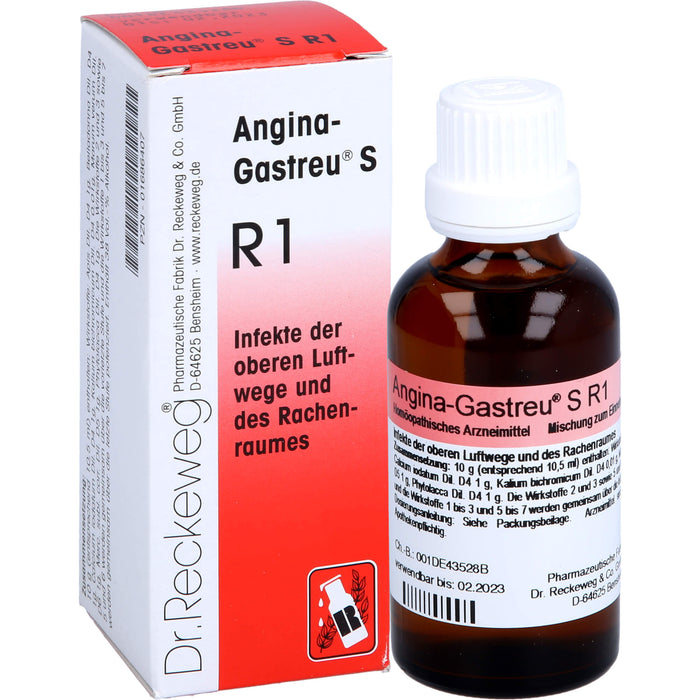 Dr. Reckeweg Angina-Gastreu S R1 Tropfen, 50 ml Lösung