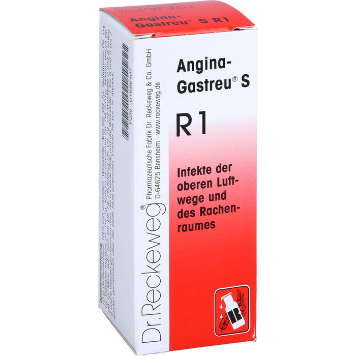 Dr. Reckeweg Angina-Gastreu S R1 Tropfen, 50 ml Lösung