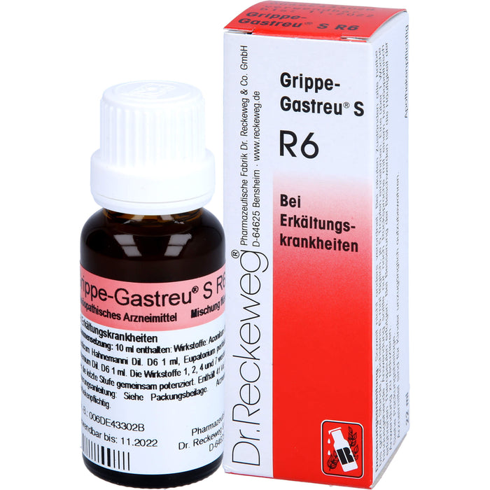Dr. Reckeweg Grippe-Gastreu S R6 Tropfen bei Erkältungskrankheiten, 22 ml Lösung