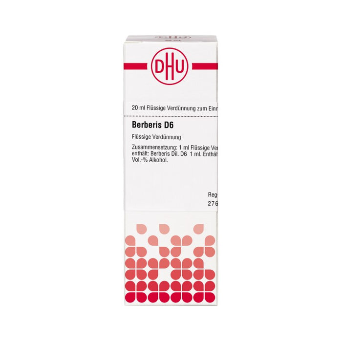 Berberis D6 DHU Dilution, 20 ml Lösung