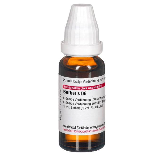 Berberis D6 DHU Dilution, 20 ml Lösung