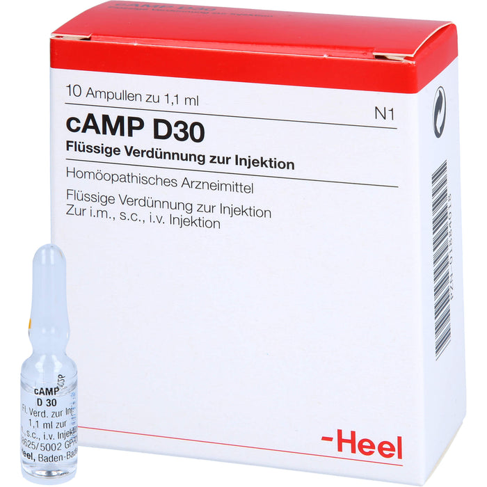 Heel cAMP D30 flüssige Verdünnung, 10 St. Ampullen